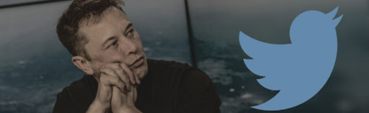 musk twitter portada