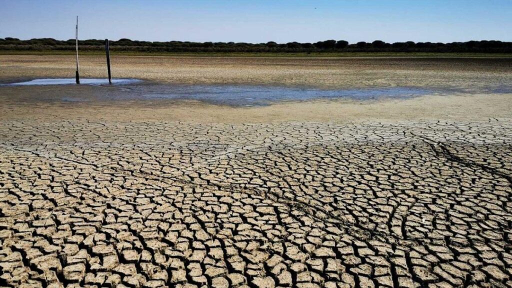 La laguna de Santa Olalla, en Doñana, se secó completamente en el verano de 2022 .