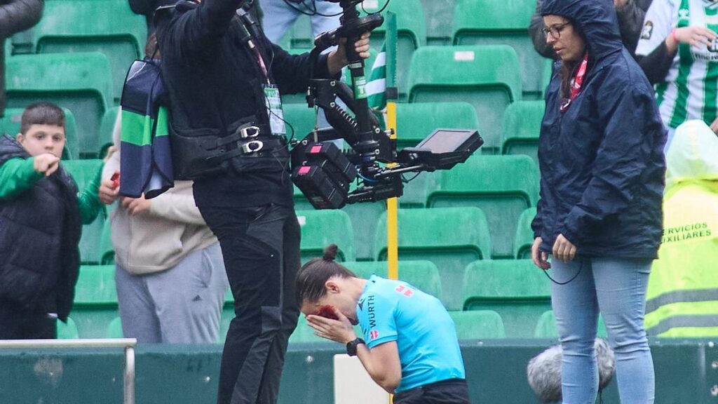 Guadalupe Porras yace en el suelo tras ser golpeada por el cámara de televisión, que avisa del incidente.