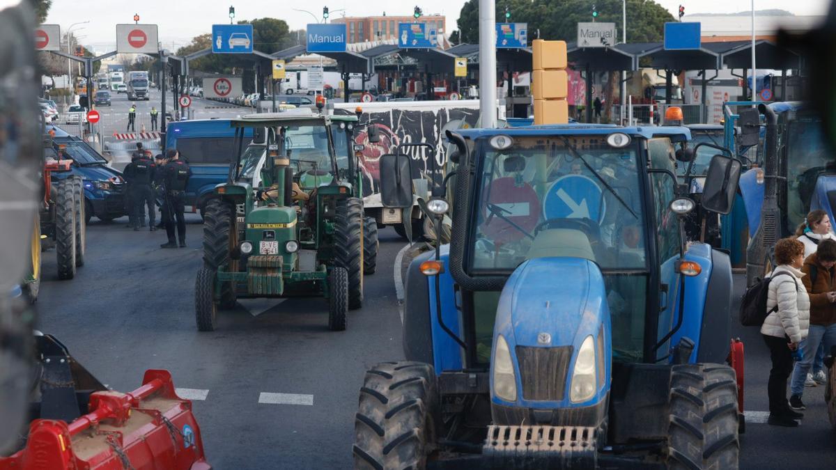 AVANCE| La radiografía del campo en España y Catalunya, en 23 gráficos