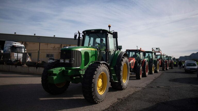 Protestas en el campo: Burocracia, relevo generacional, PAC... Los agricultores explican sus motivos