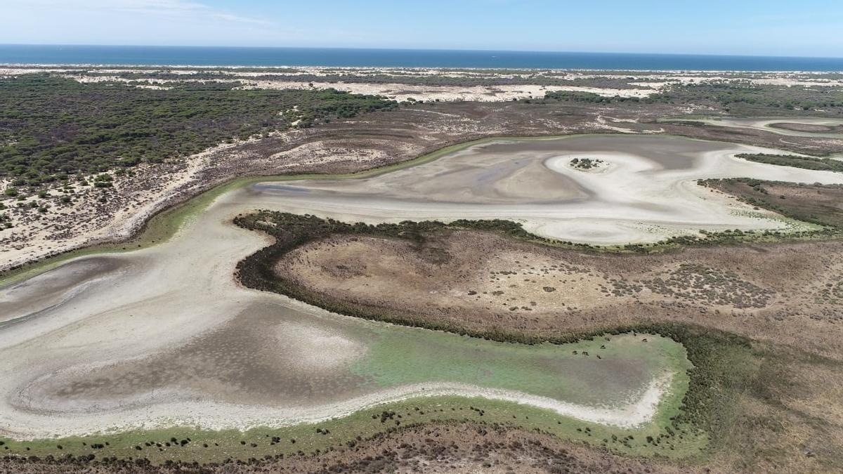 Peligra el acuerdo sobre Doñana por una nueva polémica sobre regadíos