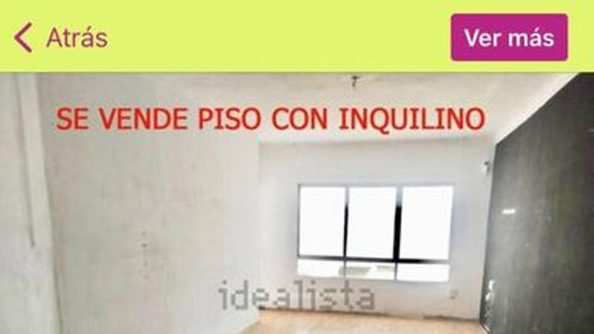 "Se vende piso con inquilino".
