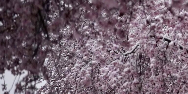 El viento sopla a 135 kilómetros por hora en Castilla y León que entrará en el horario de verano bajo nieve