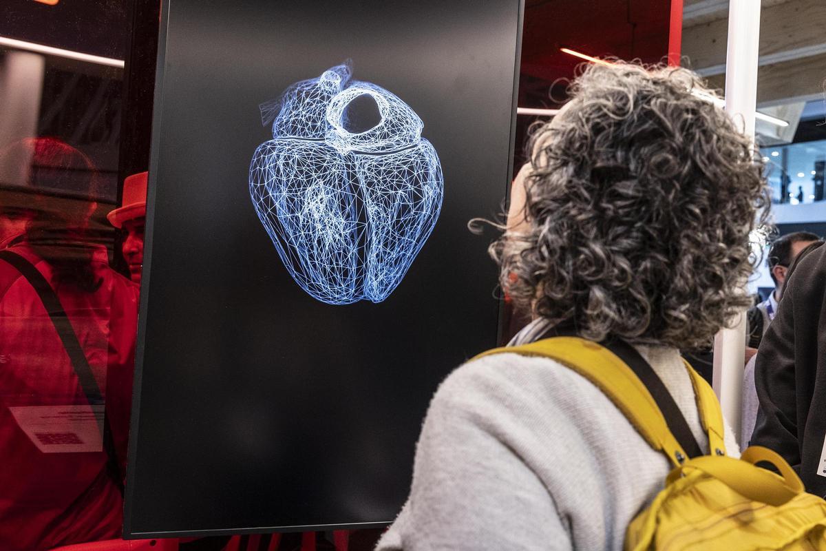 Un corazón virtual "gemelo" al humano permitirá ensayar operaciones y avanzar la detección de enfermedades congénitas