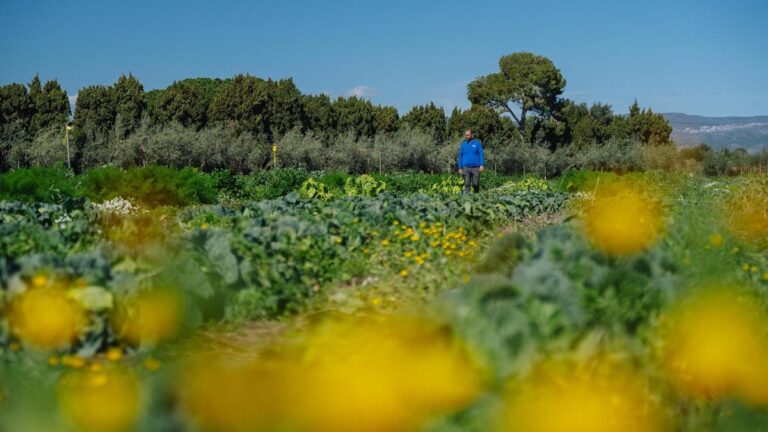 Una de las fincas de este proyecto de agricultura regenerativa