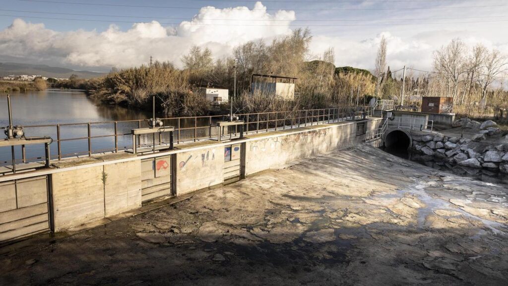 Restos de aguas residuales, ayer, junto al humedal del estanque de la Murtra.