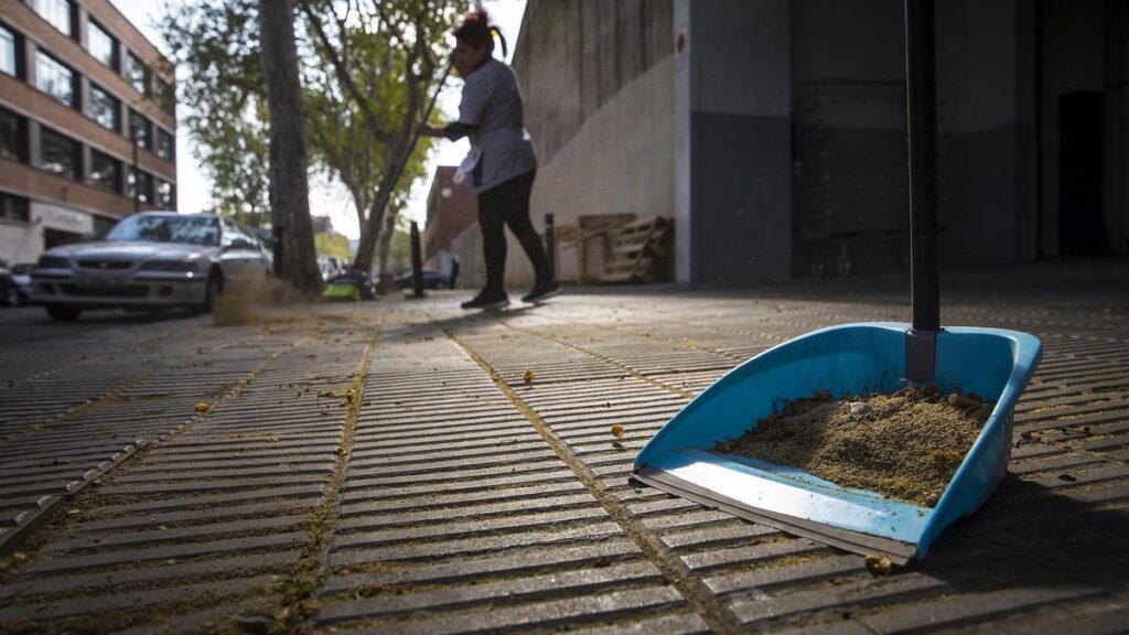 Polen de plataneros en una calle de Barcelona.