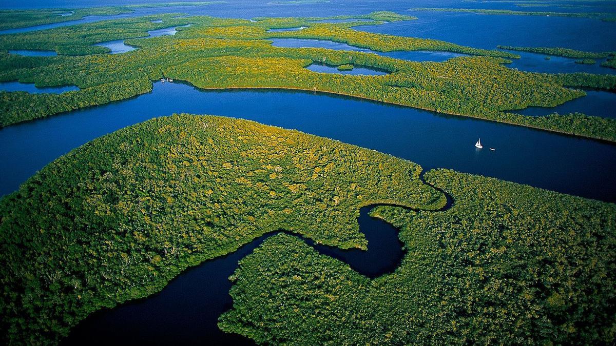 La biodiversidad mundial está en peligro por el calentamiento