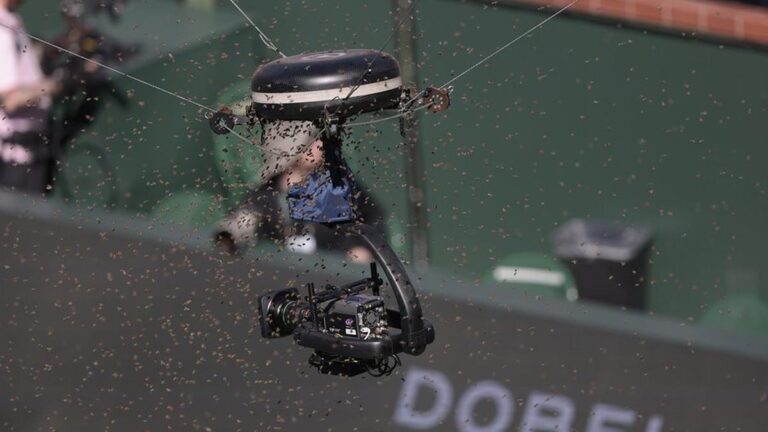 Abejas alrededor de una cámara en la pista del Alcaraz-Zverev de Indian Wells.