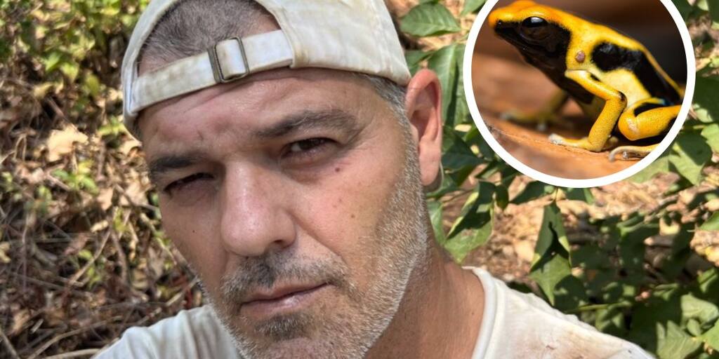 Frank Cuesta al borde de la muerte por culpa de una rana venenosa
