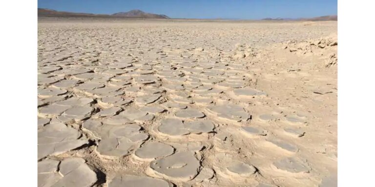 Hallan una 'biosfera oculta' bajo el desierto más árido del mundo