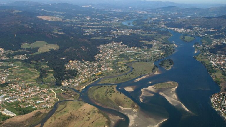 Estuario del río Miño, ejemplo de ecosistema húmedo