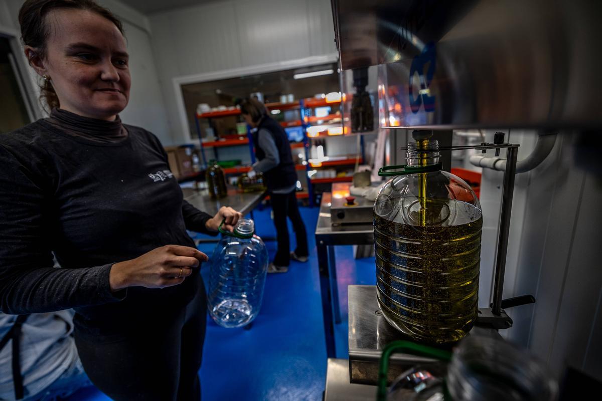 El precio del aceite de oliva cae un 9% en origen, aunque los consumidores tardarán unos meses en notarlo