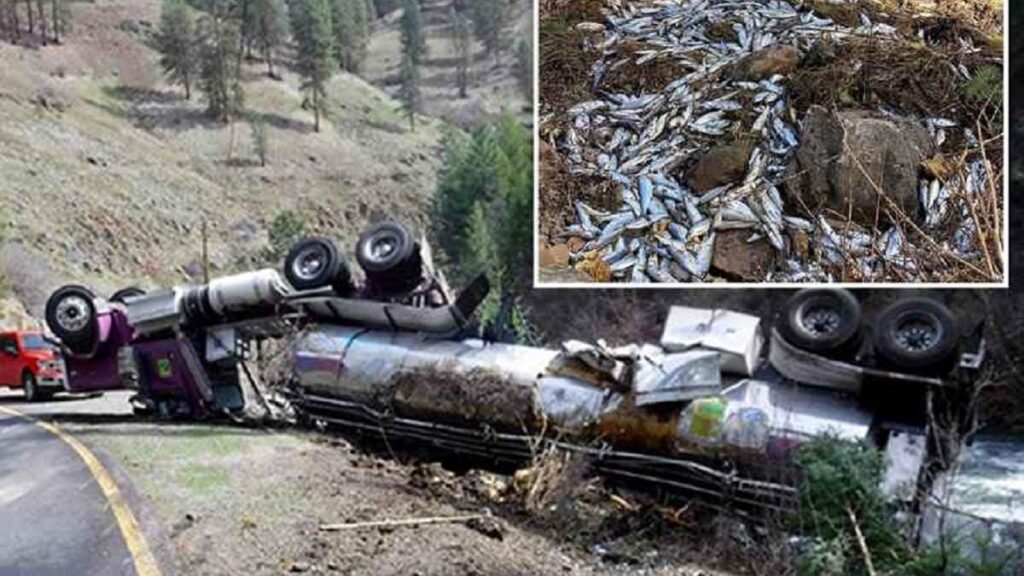 Estado en que quedó el camión donde iban los salmones