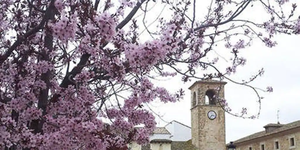 Mota del Cuervo (Cuenca) albergará su tercer festival del libro y la lectura del 17 al 19 de abril