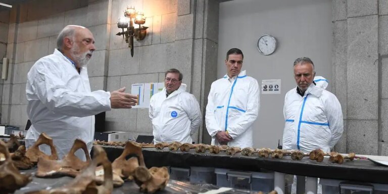 El Gobierno llevará a la ONU las leyes de memoria de PP-Vox y Sánchez visita por sorpresa el Valle de Cuelgamuros