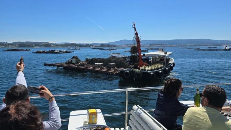 Los viajeros de un catamarán de Cruceros del Ulla Turimares observan una batea de engorde de almeja mientras degustan mejillón y ostras a bordo.