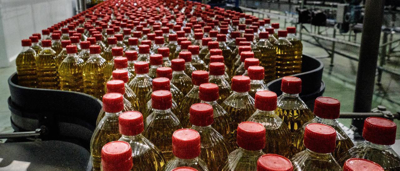Envasado de aceite en la empresa DCoop, con sede en Antequera (Málaga).