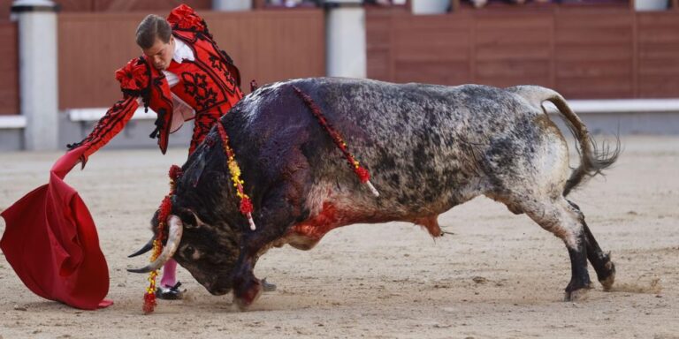 «Los ministros pasan, la tauromaquia se queda»