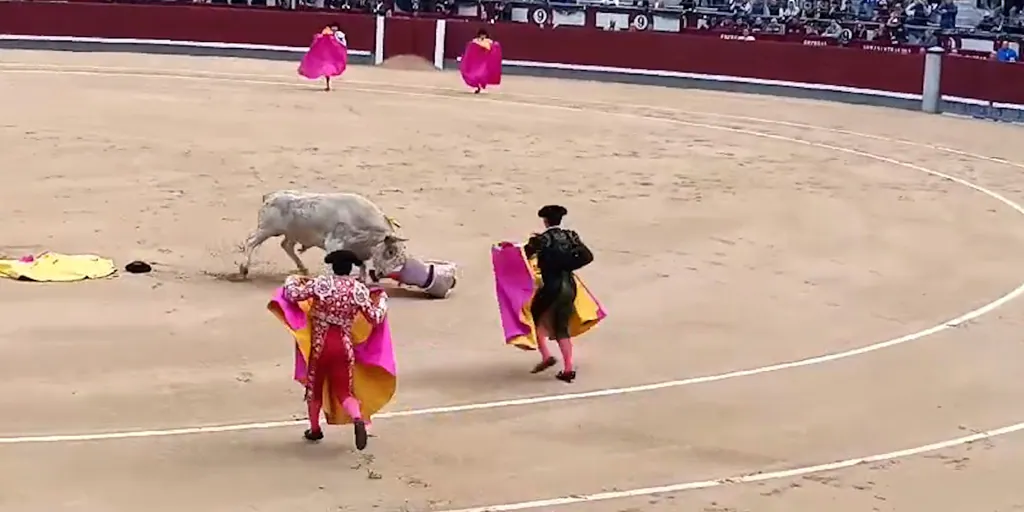 de la grave cornada de Jesús Moreno a la Puerta Grande de Alejandro Chicharro