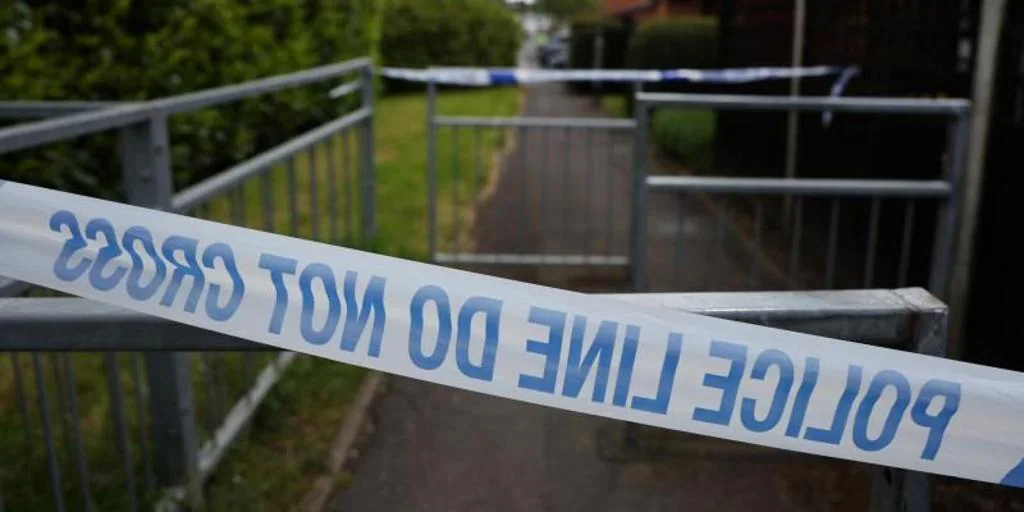 Acusan de asesinato a un hombre de nacionalidad española y brasileña por el ataque con una espada en Londres