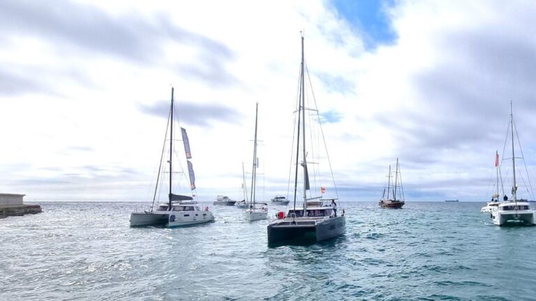 Varias de las embarcaciones de Sail &amp; Charter, que proveerá los chárters durante la Copa América de vela.