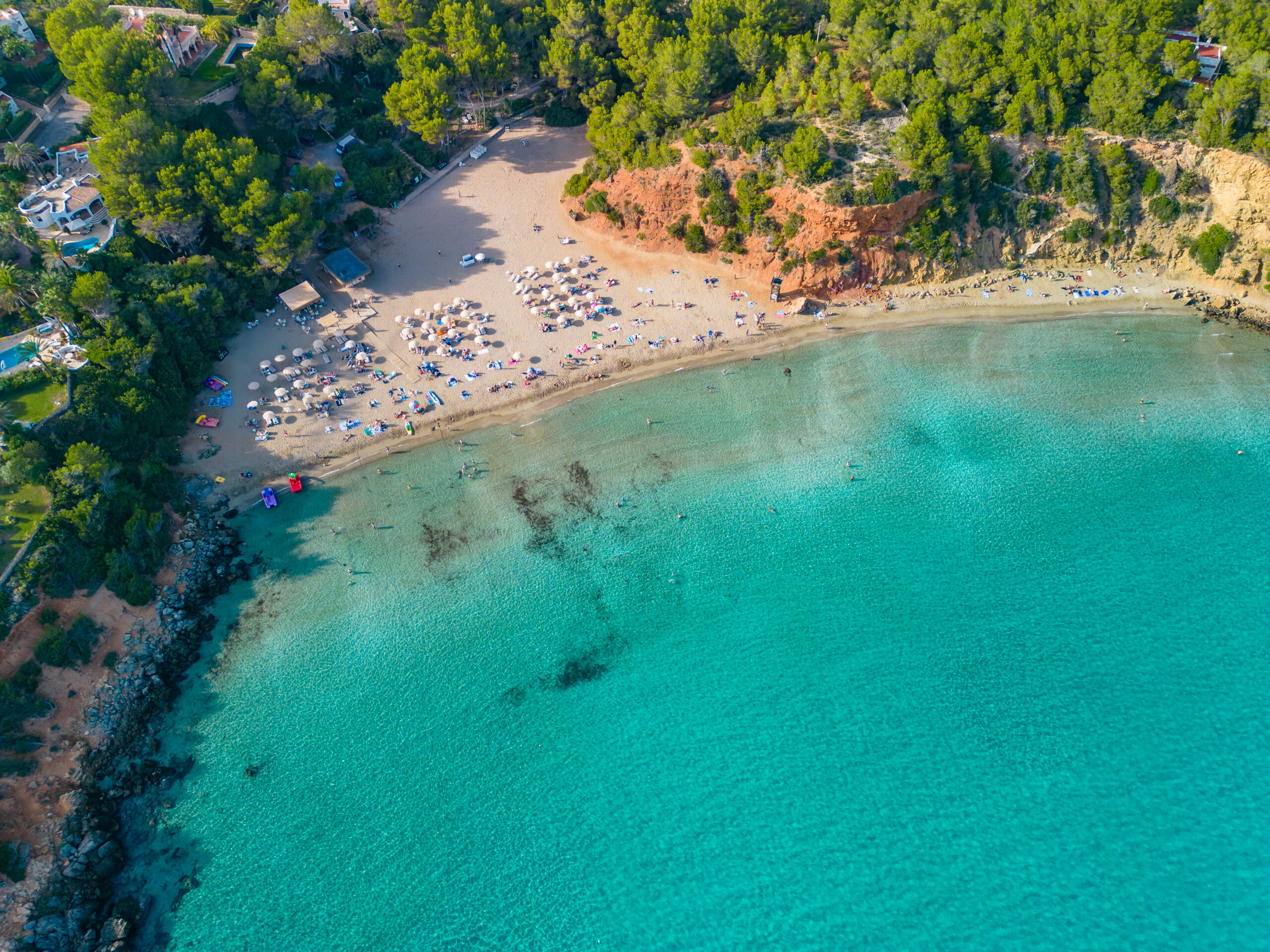 cala llenya ibiza with turquoise water in baleari 2023 11 27 05 03 09 utc scaled