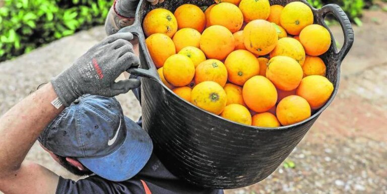 estas son las 15 ocupaciones con más contratos en 2023