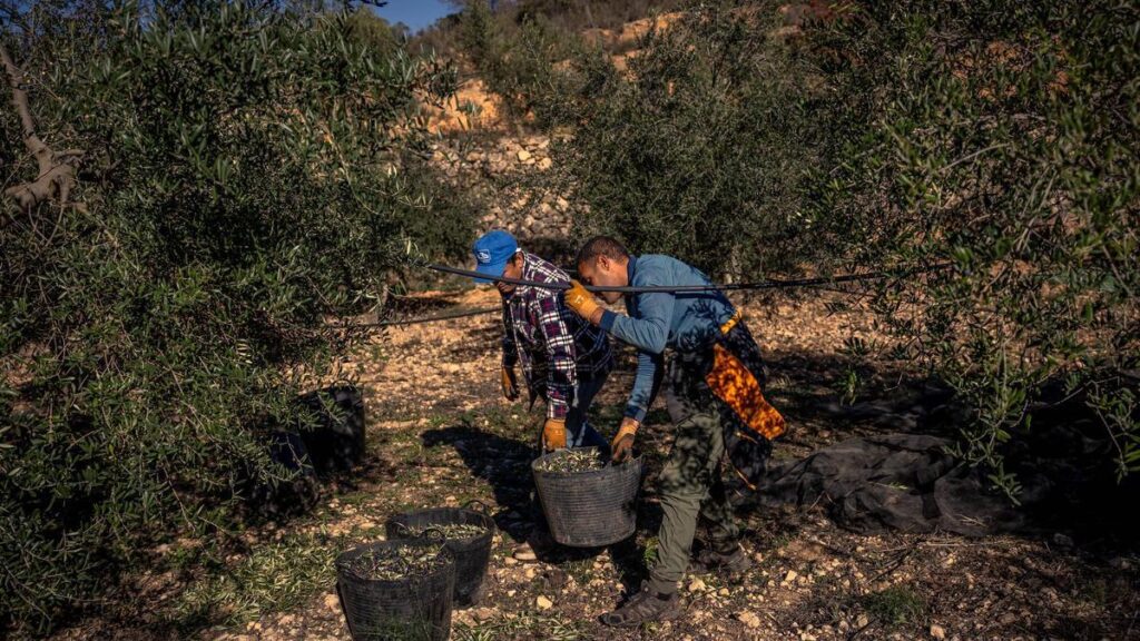 La economía agrícola vuelve a crecer en Catalunya tras dos años de tasas negativas