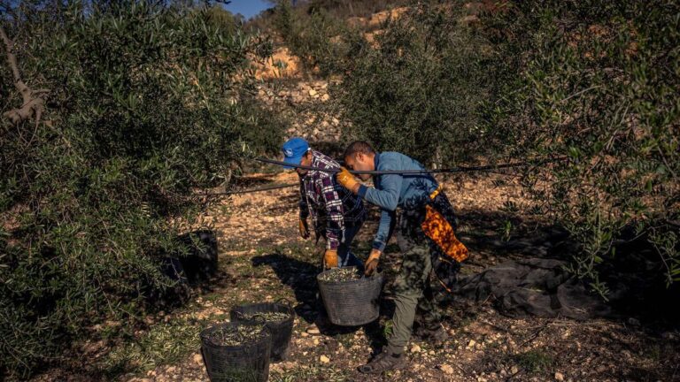 La economía agrícola vuelve a crecer en Catalunya tras dos años de tasas negativas