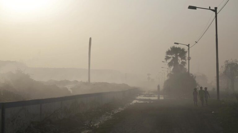 El 80 % de los habitantes del planeta quiere mayor acción climática de sus Gobiernos, según PNUD