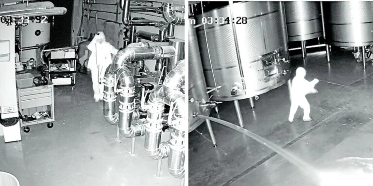 El plan que urdió la presunta autora del sabotaje a la bodega Cepa 21 tras saber que iba a ser despedida