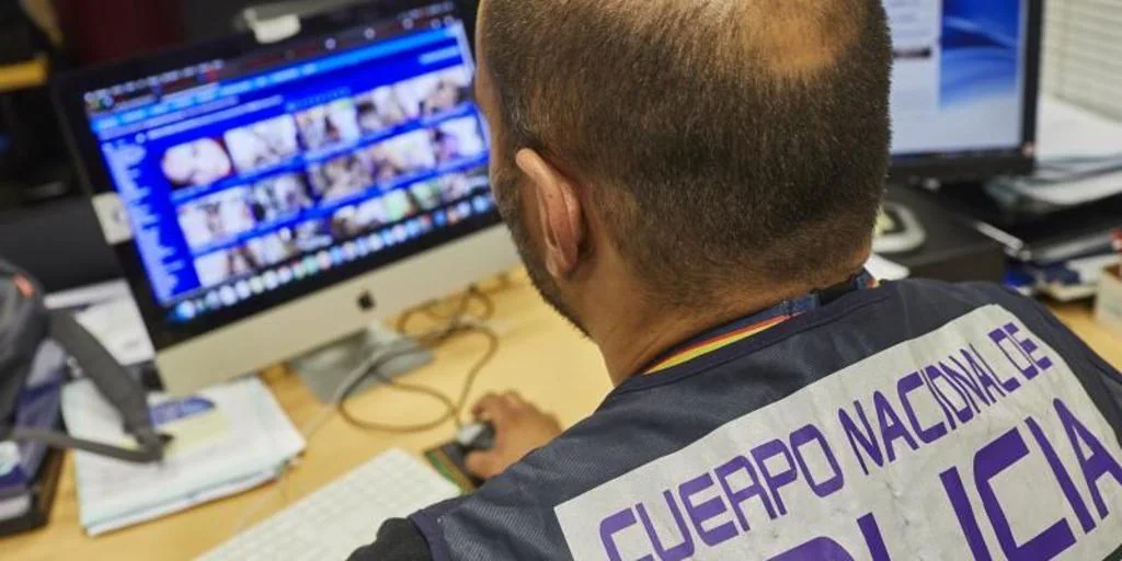 Ciberdelitos, robos de coches e ilícitos contra la libertad sexual tiran del alza de la criminalidad en Córdoba