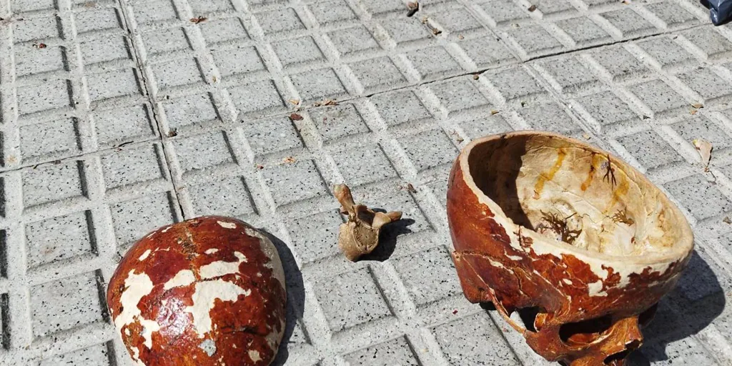 Un pescador encuentra un cráneo humano en el agua frente a la Alameda de Cádiz