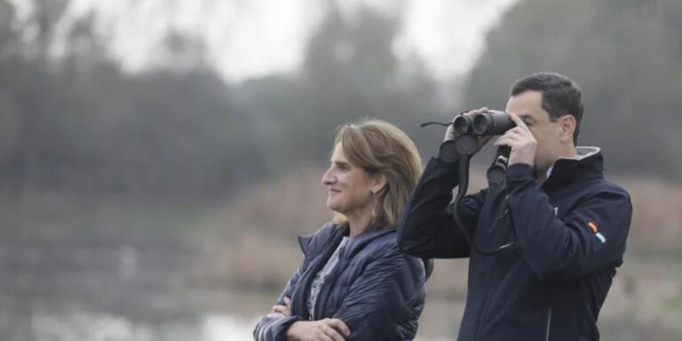 La exministra Ribera pierde como candidata socialista a las elecciones europeas en Doñana