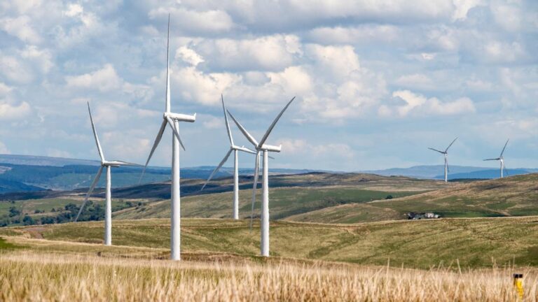 Aumenta el interés de inversión en energías renovables.