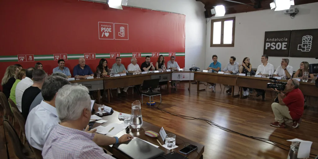 Espadas reunirá a los ocho secretarios provinciales del PSOE para escenificar unidad tras las europeas
