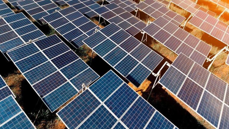 Paneles solares