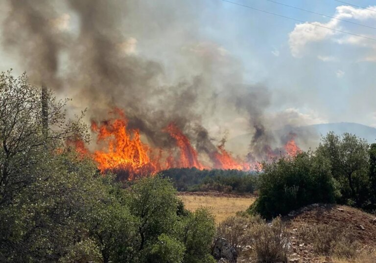 Los incendios en Grecia se cobran su primera víctima mortal
