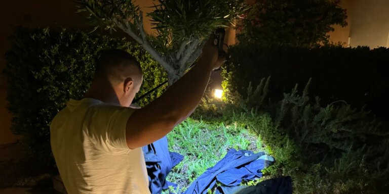 el azote de la mafia en la noche de Marbella