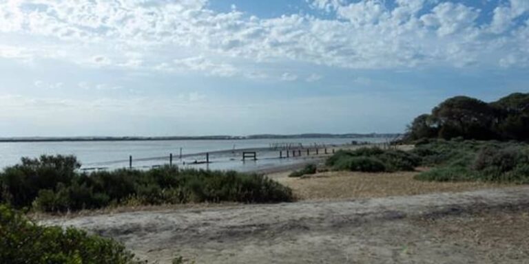 Un estudio científico sitúa la mítica ciudad de Tartessos cerca de la desembocadura del Guadalquivir en Doñana