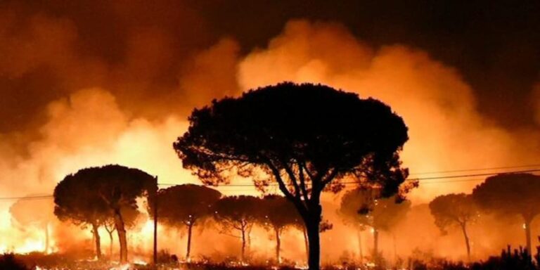 El juez continúa con la instrucción contra tres investigados por el incendio de Doñana de 2017 que arrasó 8.468 hectáreas