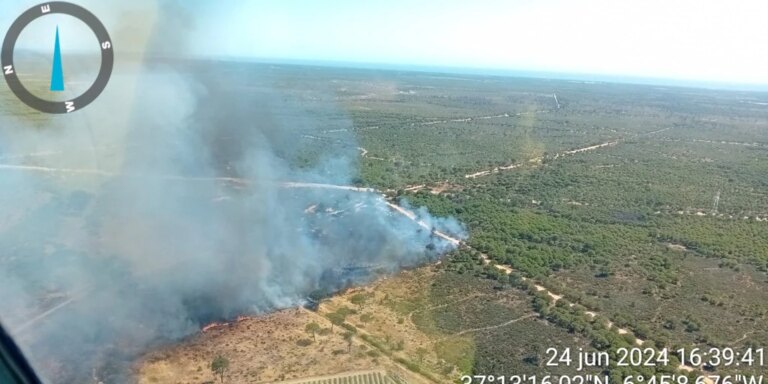 Estabilizado un incendio forestal en la provincia de Huelva