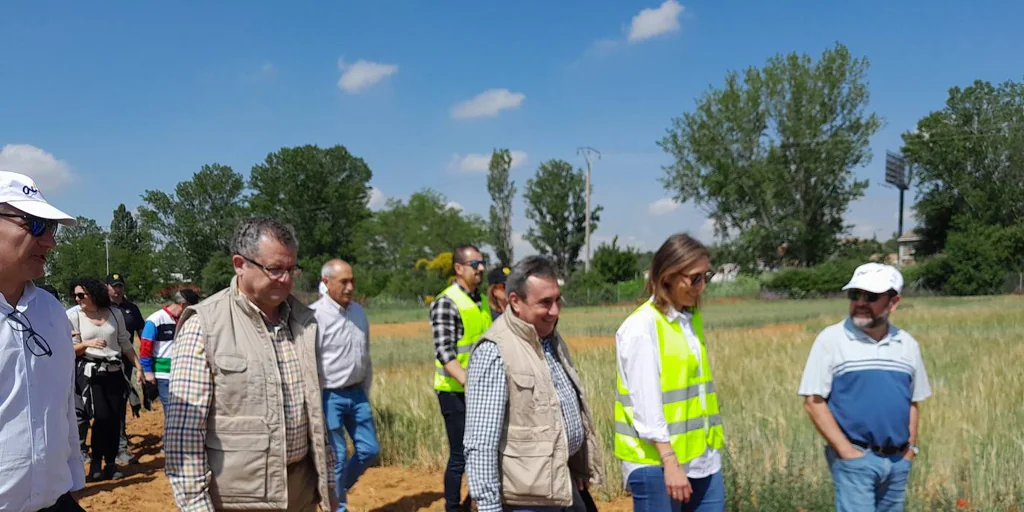 La Junta premiará la excelencia de alumnos de FP agrarias con prácticas remuneradas
