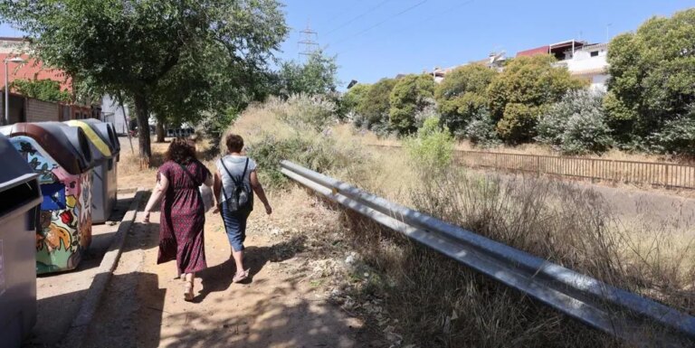 «Las ratas se meten en las casas»