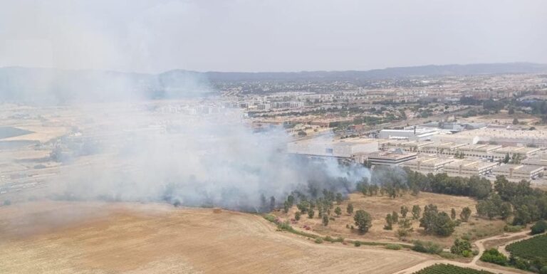 Bomberos y miembros del Infoca tratan de extinguir un fuego junto al Parque Joyero