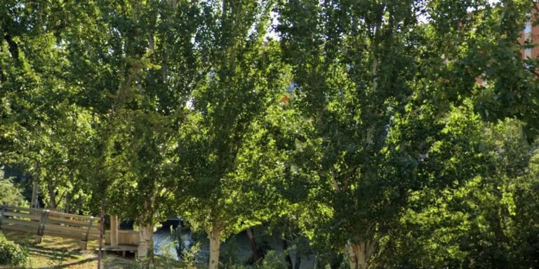 Se enfrenta a nueve años de cárcel por tratar de ahogar en el Pisuerga a su novia cuando quiso romper la relación: «Conmigo o con nadie»