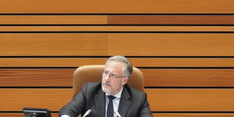 Pollán, obligado en las Cortes a pedir respeto «para todas las opiniones, nos gusten o no»