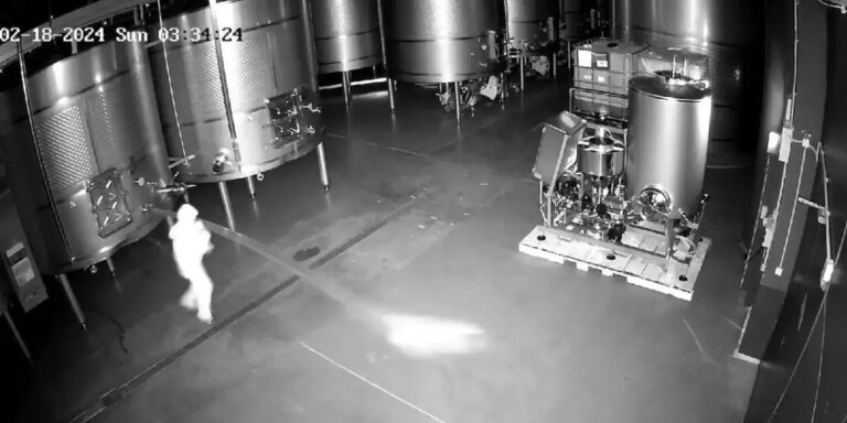 Detenida una mujer como presunta autora del sabotaje a Bodegas Cepa 21, que perdió 60.000 litros de vino